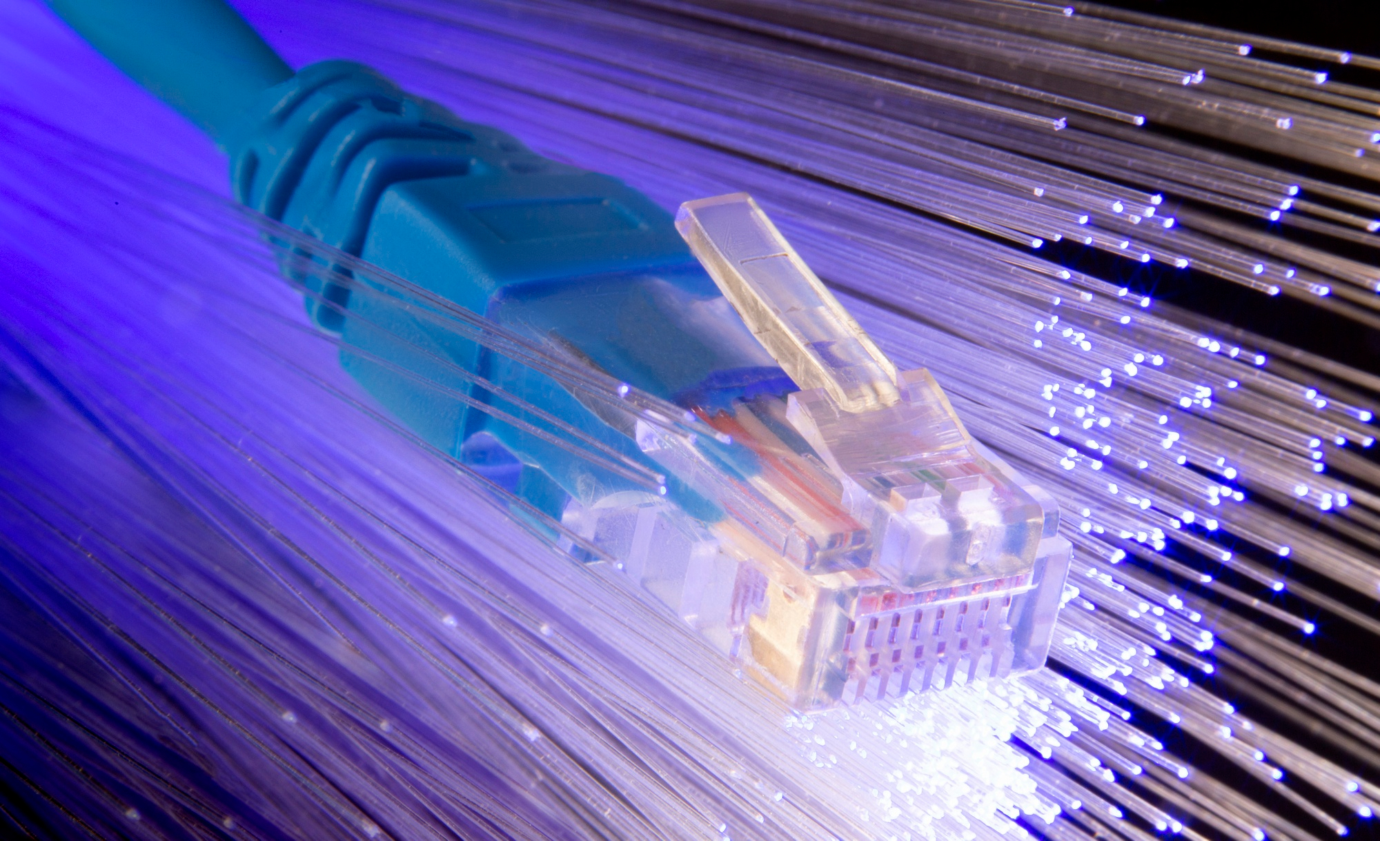 Fibre-optic ethernet cable representing resilient, DfE-compliant school internet from edutech Yorkshire and EXA Networks across Yorkshire